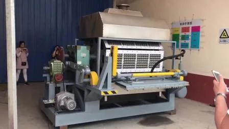 Machine automatique de moule de plateau d'oeufs de pulpe de papier de qualité superbe